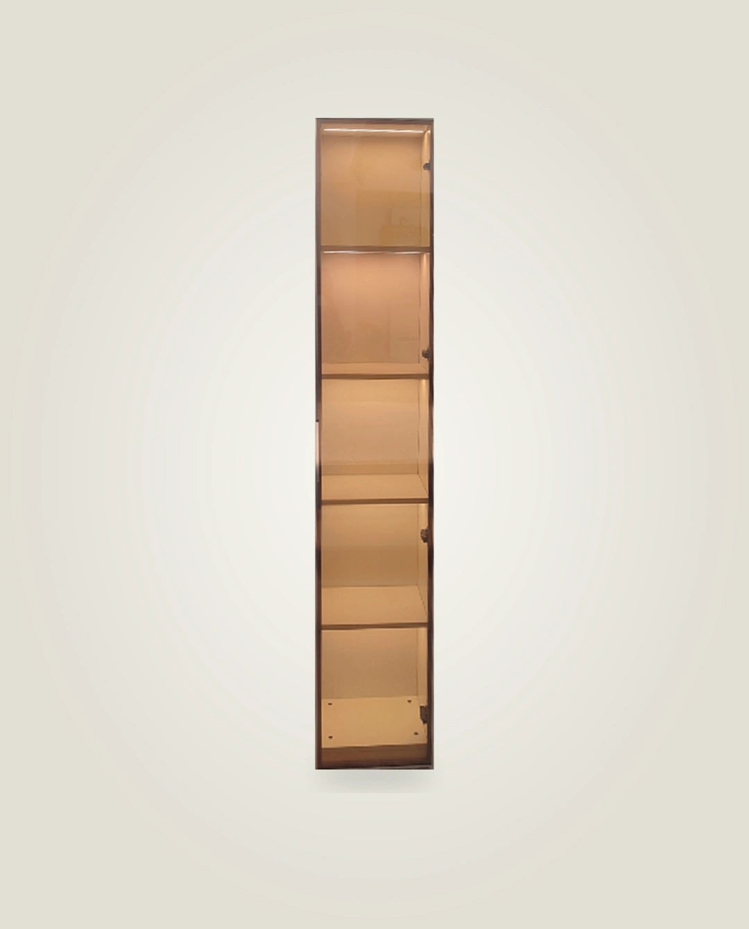 AIDA LED Glass Cabinet — Gold / Silver