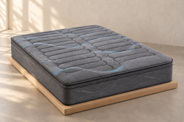The Charcoal Mattress